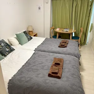 リブシティ錦糸町参番館上層階眺望良好北欧ルーム, Akihabara 6mins, 8 Mins, Direct To Narita Airport 成田空港直達 東京都